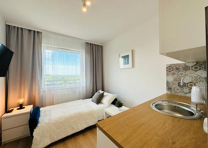 Blisko Plazy I Parku Reagana 格但斯克